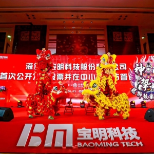 深圳舞狮队（宝明科技答谢晚会）