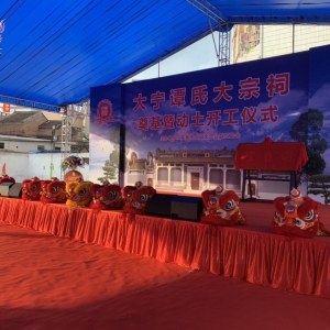 群狮表演